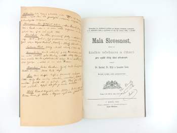 Malá slovesnost