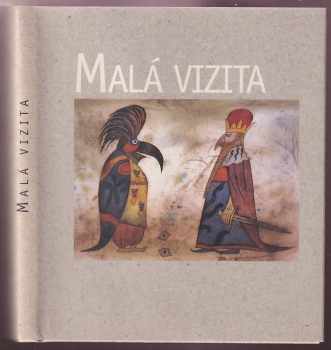 Martin Bojar: Malá vizita