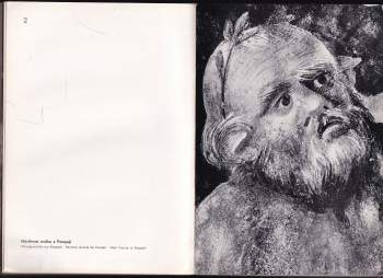 Vojtěch Volavka: Malba a malířský rukopis