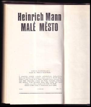 Heinrich Mann: Malé město