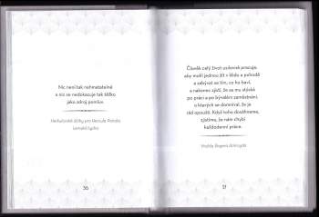 Agatha Christie: Malé šedé buňky