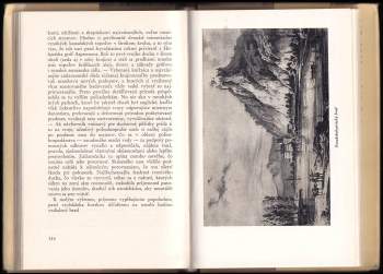 Alajos Mednyánszky: Malebná cesta dolu Váhom