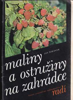 Maliny a ostružiny na zahrádce