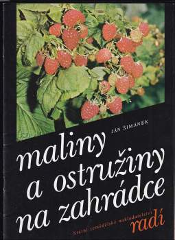 Maliny a ostružiny na zahrádce