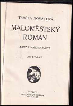 Tereza Nováková: Maloměstský román
