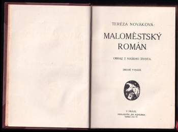 Tereza Nováková: Maloměstský román