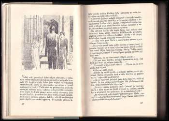 Helena Mniszkówna: Malomocná : román. II. díl