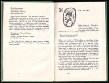 František Zýbal: Malovaná mládež