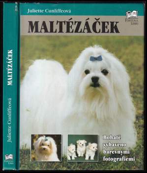 Maltézáček