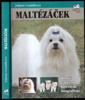 Maltézáček