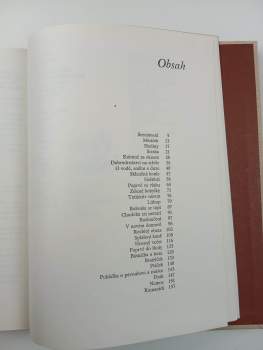 Josef Věromír Pleva: Malý Bobeš