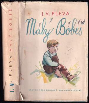 Malý Bobeš