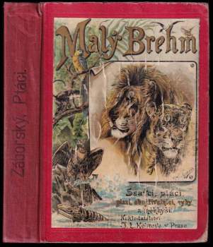 Malý Brehm