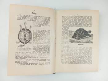 Bohuslav Záborský: Malý Brehm