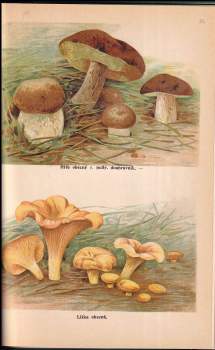 Bohuslav Záborský: Malý Brehm