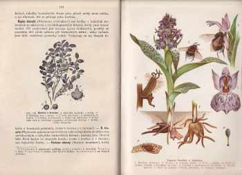Jan John: Malý Brehm- Vylíčení života a vlastností zvířat a rostlin. o nerostech