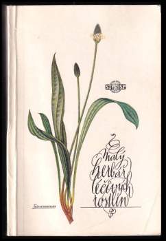 Ludmila Černá: Malý herbář léčivých rostlin