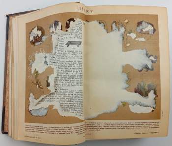 Jan Otto: Malý Ottův slovník naučný dvoudílný