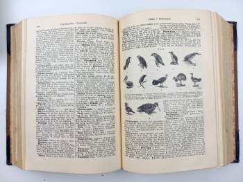 Malý Ottův slovník naučný