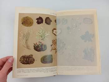 Malý Ottův slovník naučný dvoudílný - Díl II. L - Ž