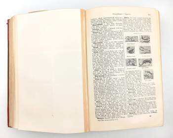 Malý Ottův slovník naučný dvoudílný - Díl II. L - Ž