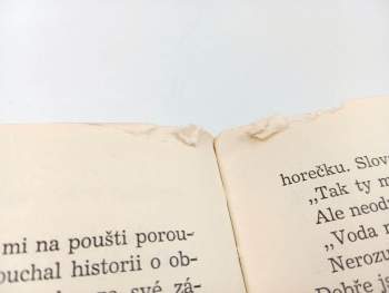 Antoine de Saint-Exupéry: Malý princ