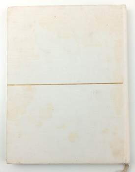 Antoine de Saint-Exupéry: Malý princ