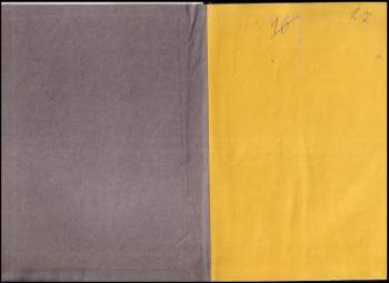 Antoine de Saint-Exupéry: Malý princ