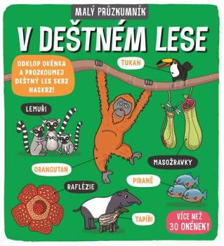 V deštném lese