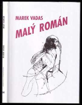 Malý román