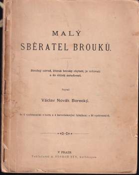 Malý sběratel brouků