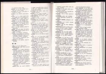 Jaroslav Hubáček: Malý slovník českých slangů