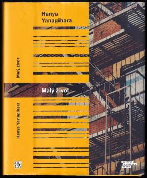 Hanya Yanagihara: Malý život