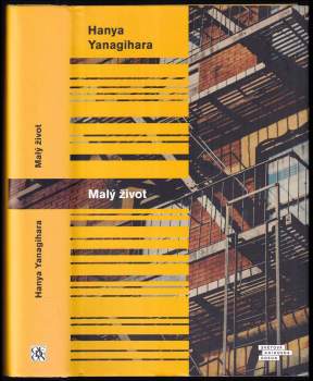 Hanya Yanagihara: Malý život