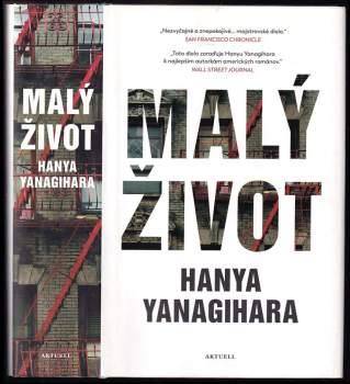 Hanya Yanagihara: Malý život