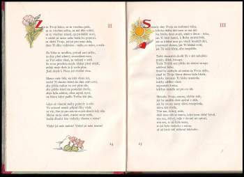 Bohuš František Beneš: Mámina kytička