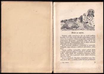 Karla Dolénková: Maminka Ťokťok a její děti