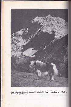Blahoslav Braun: Manaslu North (7157 m n.m.)