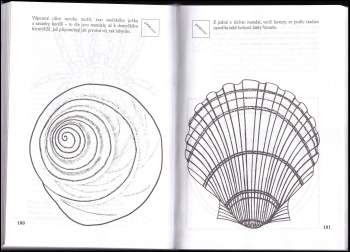 Rüdiger Dahlke: Mandaly světa