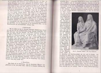 Thomas Achelis: Mann und Weib