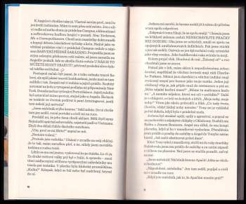 Lucia Berlin: Manuál pro uklízečky