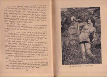 Henry Pittawall: Marie Stuartovna