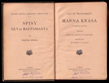 Guy de Maupassant: Marná krása