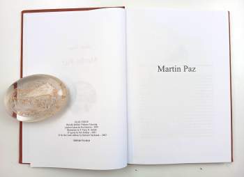 Jules Verne: Martin Paz