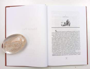 Jules Verne: Martin Paz