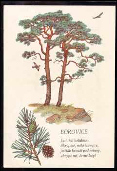 Jan Čarek: Máš rád stromy?