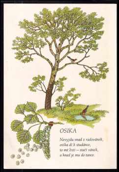 Jan Čarek: Máš rád stromy?