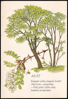 Jan Čarek: Máš rád stromy?