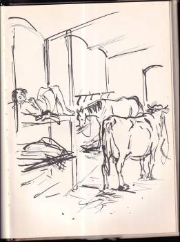 Vojtěch Sedláček: Máš Sedláčku pěkný koně