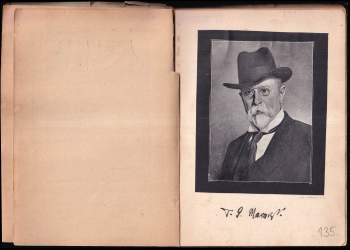 Tomáš Garrigue Masaryk: Masaryk v Plzni